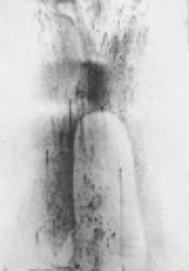 Drawings on acid free Arches paper in charcoal, ink, pencil by Jane Boyd