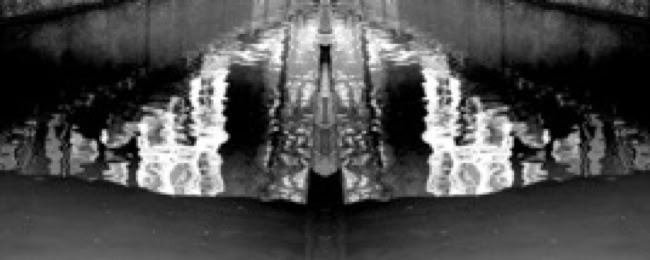 Wet Suite a series of photographic installations by Jane Boyd