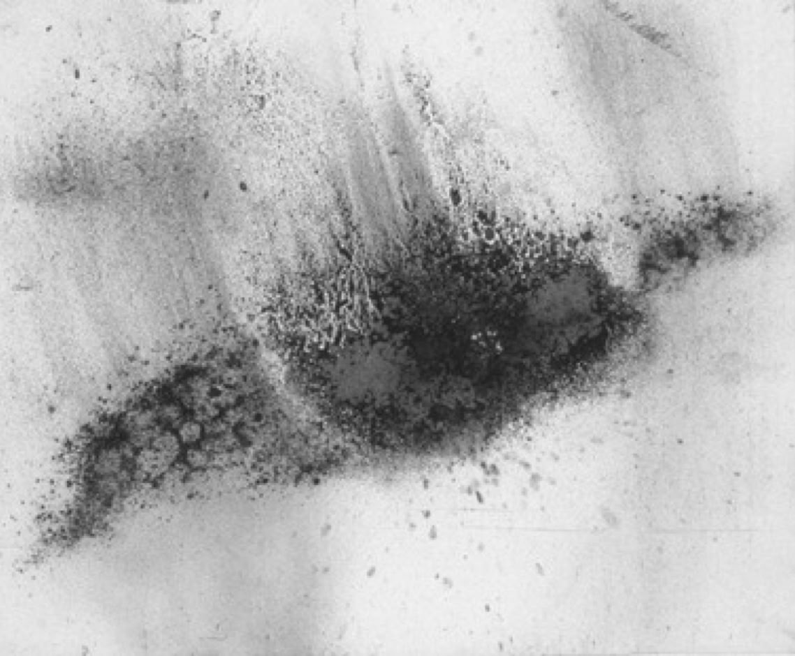 Breathing Spaces 2001 charcoal on paper from Building the Book 2001 a series of six drawings about library silence at The Warburg Institute, London