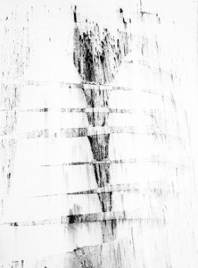 Oneness study ii 2011 charcoal on Arches paper by Jane Boyd