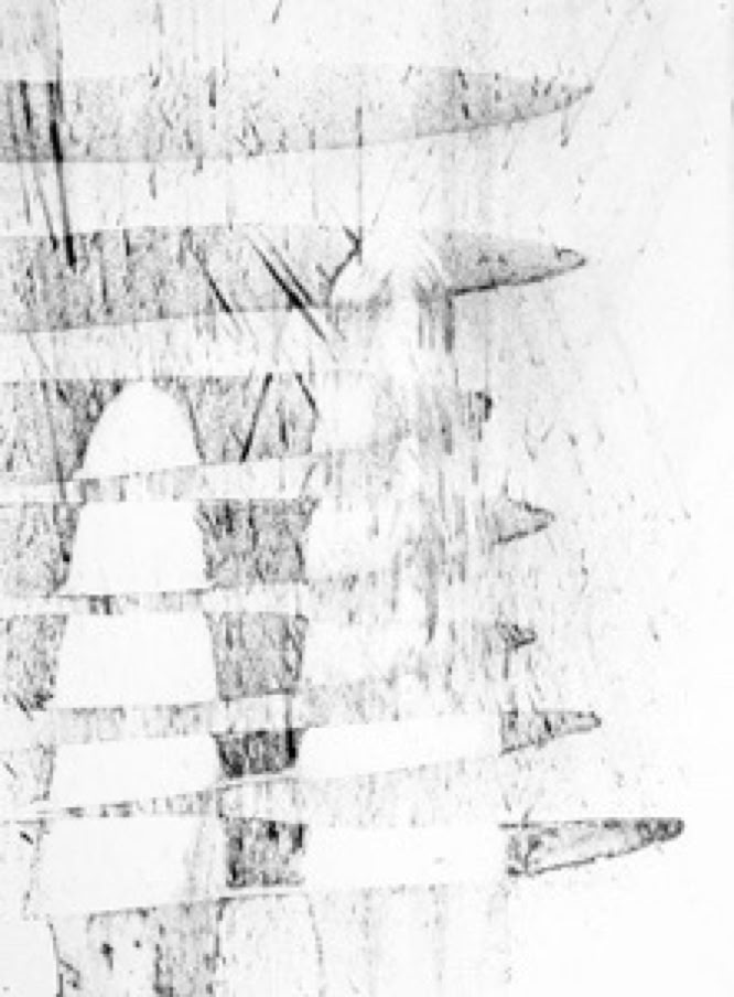 Oneness study vii 2011 charcoal on Arches paper by Jane Boyd