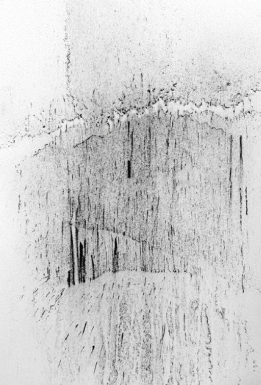 Displacement iii 2012 Series of drawings in charcoal on Arches paper Jane Boyd